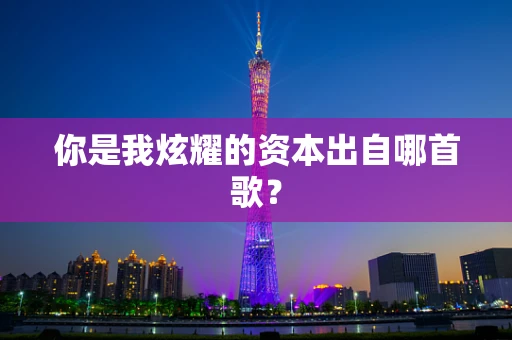 你是我炫耀的资本出自哪首歌？