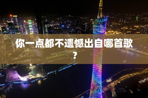 你一点都不遗憾出自哪首歌？