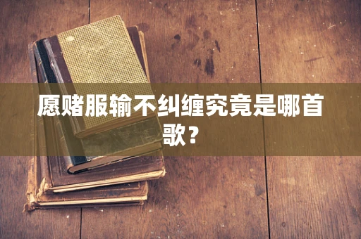 愿赌服输不纠缠究竟是哪首歌？