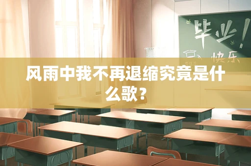 风雨中我不再退缩究竟是什么歌？