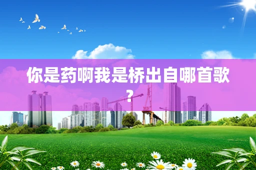 你是药啊我是桥出自哪首歌？