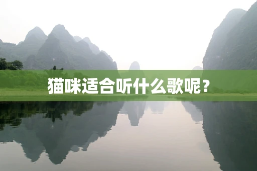 猫咪适合听什么歌呢？