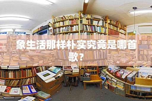 象生活那样朴实究竟是哪首歌？