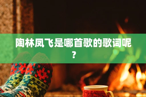 陶林凤飞是哪首歌的歌词呢？