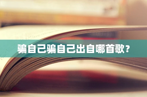 骗自己骗自己出自哪首歌？