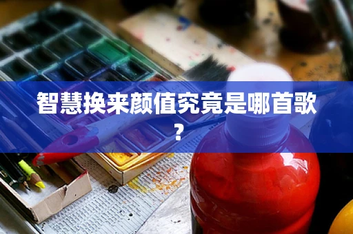 智慧换来颜值究竟是哪首歌？