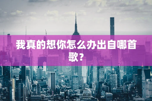 我真的想你怎么办出自哪首歌？