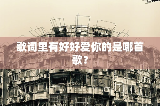 歌词里有好好爱你的是哪首歌？