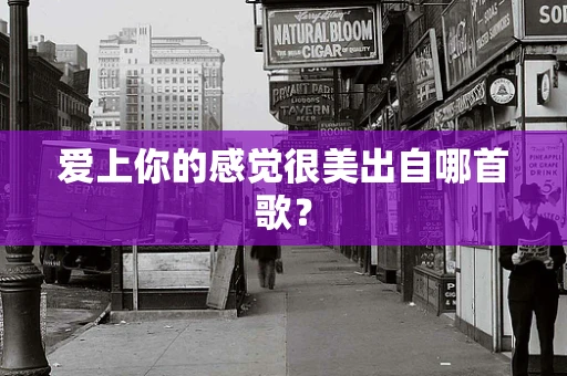 爱上你的感觉很美出自哪首歌？
