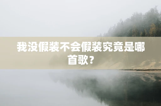 我没假装不会假装究竟是哪首歌？