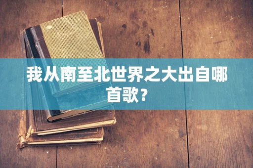我从南至北世界之大出自哪首歌？