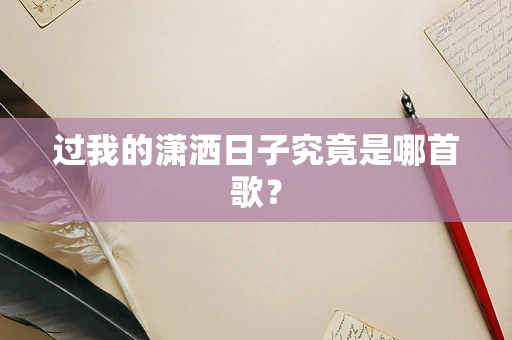 过我的潇洒日子究竟是哪首歌？