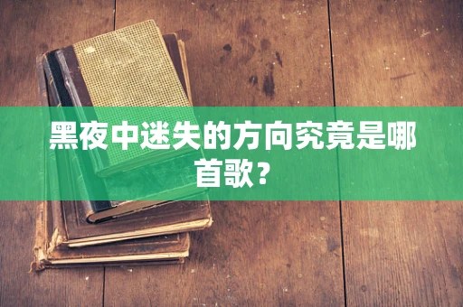 黑夜中迷失的方向究竟是哪首歌？