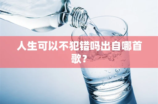 人生可以不犯错吗出自哪首歌？