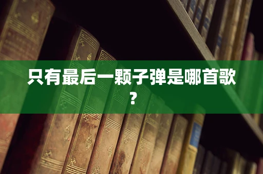 只有最后一颗子弹是哪首歌？