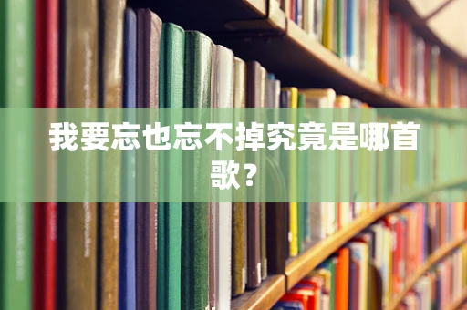 我要忘也忘不掉究竟是哪首歌？