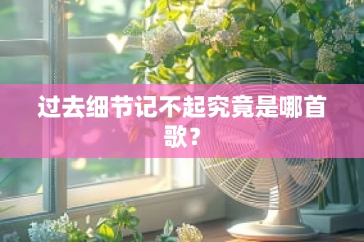 过去细节记不起究竟是哪首歌？
