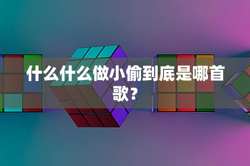 什么什么做小偷到底是哪首歌？