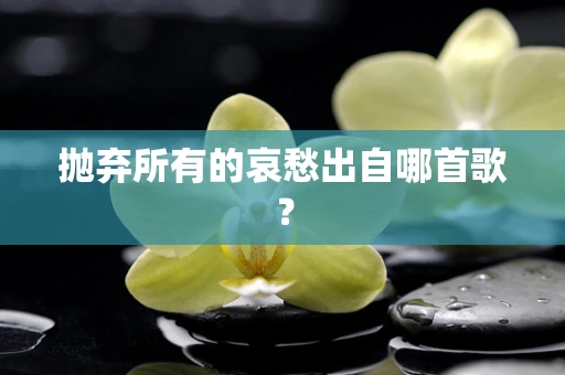 抛弃所有的哀愁出自哪首歌？