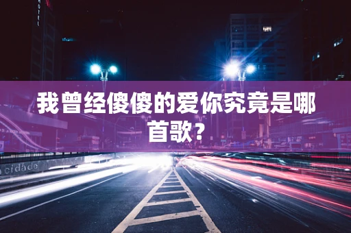 我曾经傻傻的爱你究竟是哪首歌？