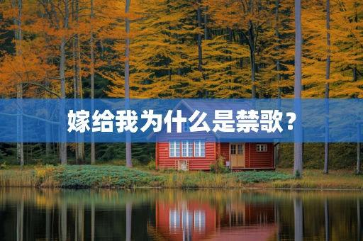 嫁给我为什么是禁歌？