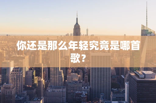 你还是那么年轻究竟是哪首歌？