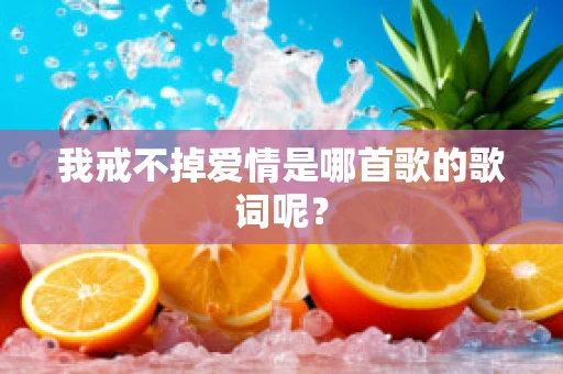 我戒不掉爱情是哪首歌的歌词呢？