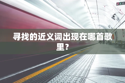 寻找的近义词出现在哪首歌里？