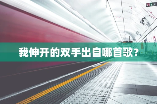 我伸开的双手出自哪首歌？