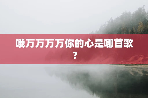 哦万万万万你的心是哪首歌？