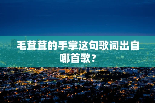 毛茸茸的手掌这句歌词出自哪首歌？