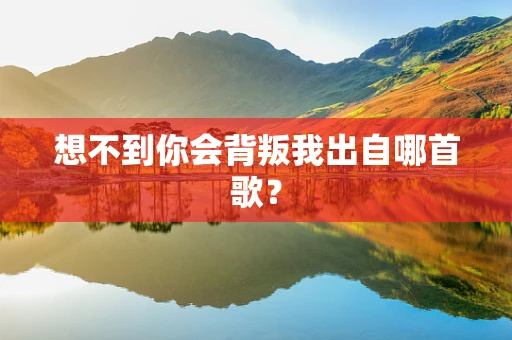 想不到你会背叛我出自哪首歌？