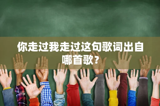 你走过我走过这句歌词出自哪首歌？