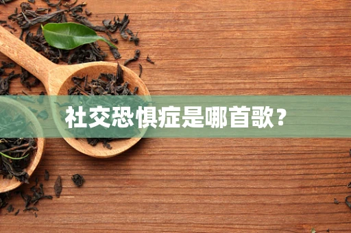 社交恐惧症是哪首歌？