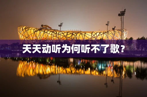 天天动听为何听不了歌？