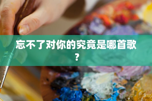 忘不了对你的究竟是哪首歌？