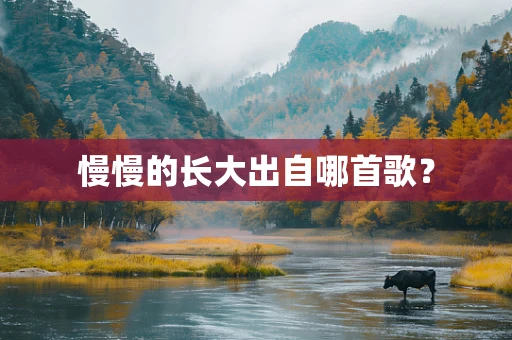 慢慢的长大出自哪首歌？