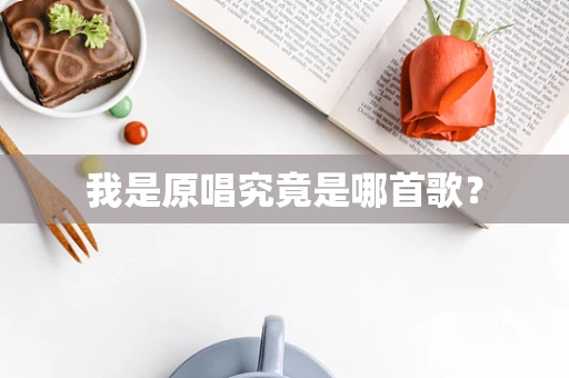 我是原唱究竟是哪首歌？