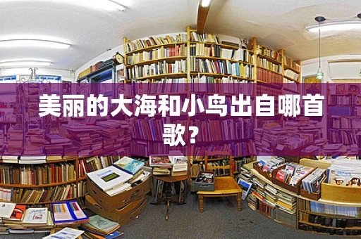 美丽的大海和小鸟出自哪首歌？