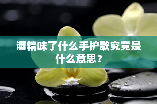 酒精味了什么手护歌究竟是什么意思？