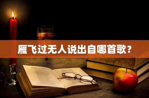 雁飞过无人说出自哪首歌？