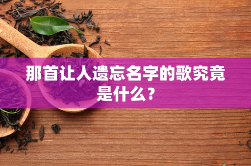 那首让人遗忘名字的歌究竟是什么？