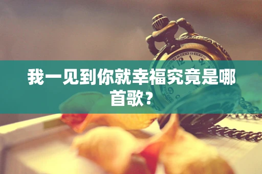 我一见到你就幸福究竟是哪首歌？