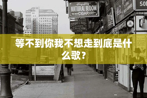 等不到你我不想走到底是什么歌？