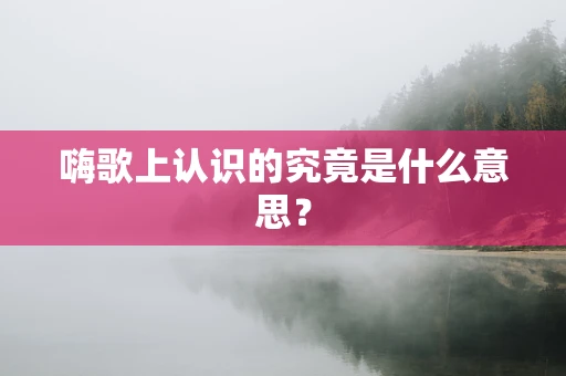 嗨歌上认识的究竟是什么意思？