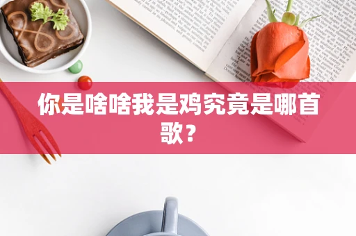 你是啥啥我是鸡究竟是哪首歌？