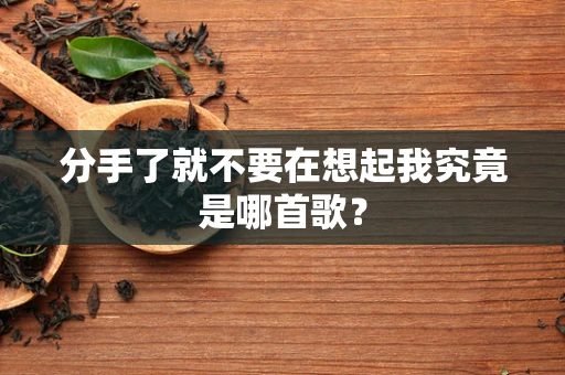 分手了就不要在想起我究竟是哪首歌？