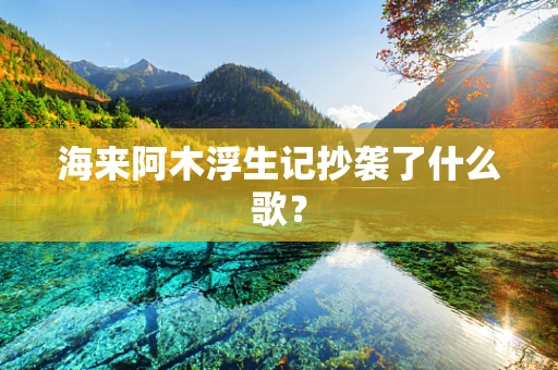 海来阿木浮生记抄袭了什么歌？