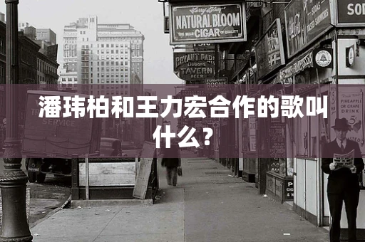 潘玮柏和王力宏合作的歌叫什么？