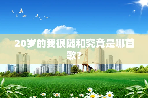 20岁的我很随和究竟是哪首歌？